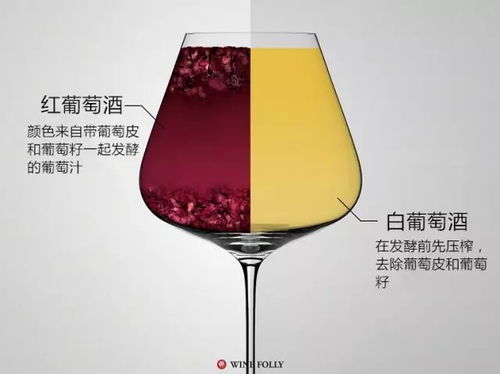 红白葡萄酒间真正的区别