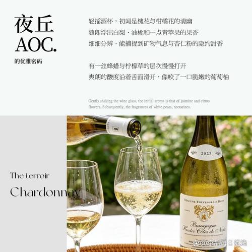 白葡萄酒品牌口感指南 从清爽到醇厚的味觉探索